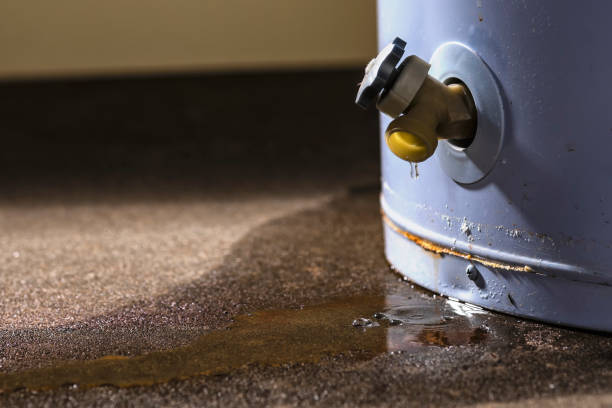 Best Fire Damage Restoration  in Godfrey, IL