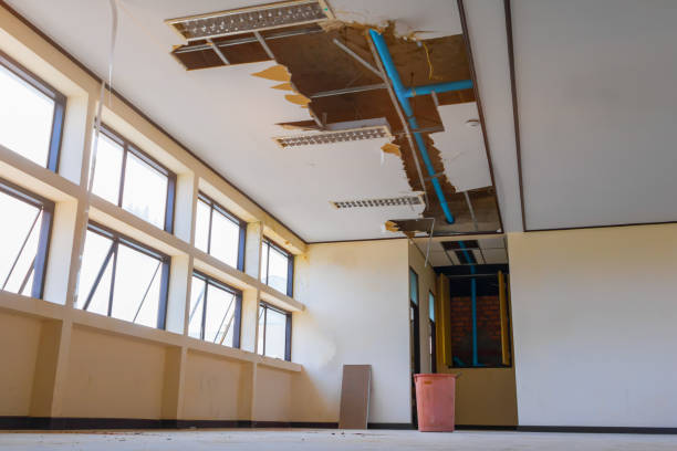 Best Basement water damage restoration  in Godfrey, IL