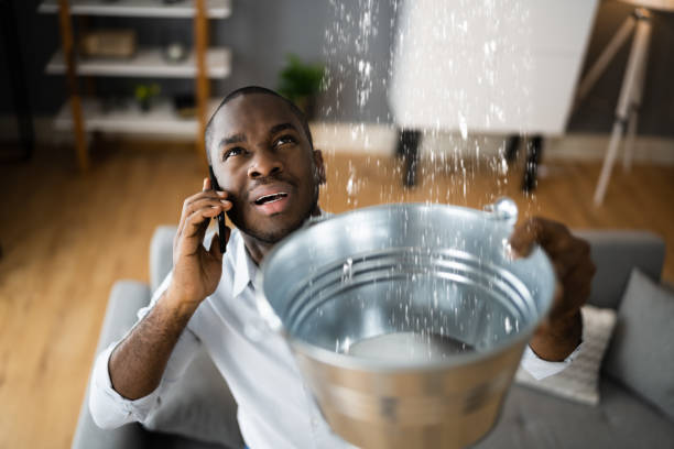 Water damage restoration experts in IL