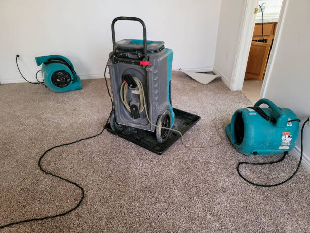 Best Flooded house restoration  in Godfrey, IL