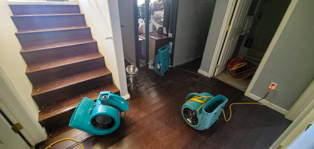 Best Flood damage cleanup  in Godfrey, IL