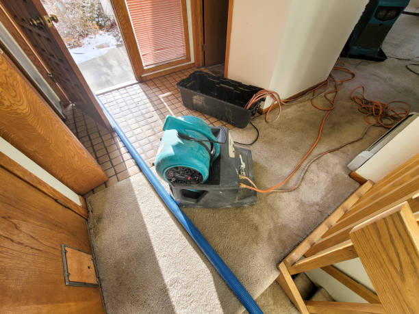 Best Water damage contractors near me  in Godfrey, IL