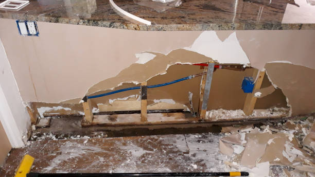 Best Water damage restoration insurance claims  in Godfrey, IL