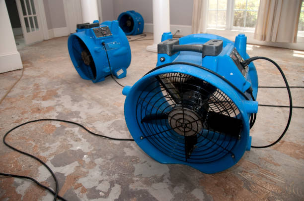 Best Commercial water damage restoration  in Godfrey, IL