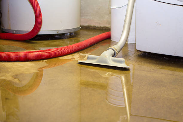 Best Carpet water damage restoration  in Godfrey, IL