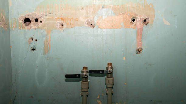 Best 24-hour water damage restoration  in Godfrey, IL
