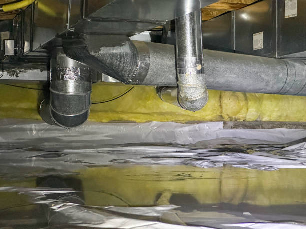  Godfrey, IL Water damage restoration Pros