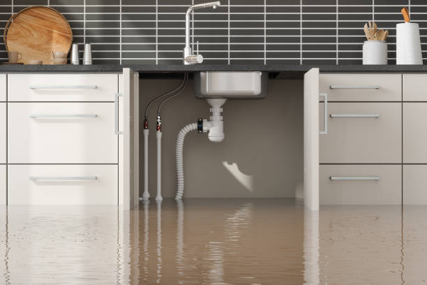 Best Local water damage restoration  in Godfrey, IL