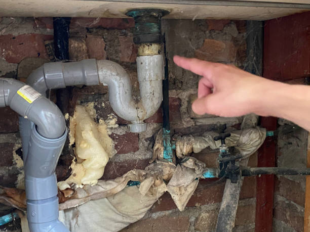 Best Water damage cleanup near me  in Godfrey, IL